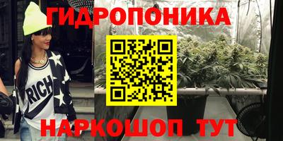 амф Новокубанск