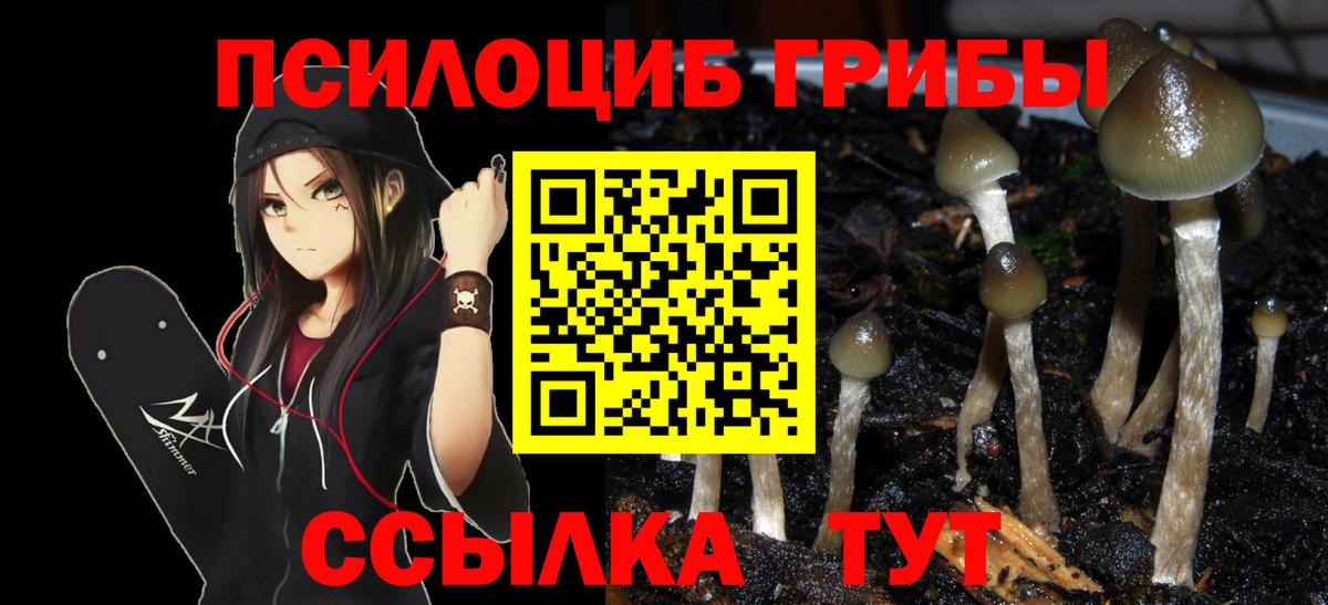 Галлюциногенные грибы мухоморы  Вход с VPN  Черняховск 